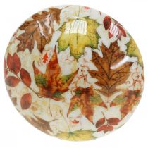 Artikel Houten paddestoel deco herfstbladeren wit, kleurrijke herfstdecoratie Ø13cm H19cm