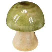 Artikel Houten paddenstoelen herfstdecoratie paddenstoelen groen rood oranje H6,5cm 9 stuks