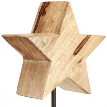 Artikel Houten ster naturel met stangbasis sterdecoratie 20x9,5x50cm