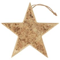 Houten sterren decoratieve decoratieve hanger rustiek decoratief hout Ø20cm