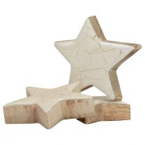 Artikel Houten sterren decoratieve sterren wit goud craquelé hout Ø5cm 8 st