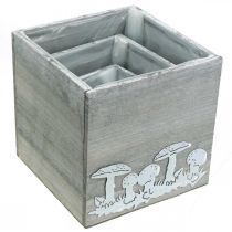 Artikel Houten blokjes met paddenstoelen, herfstdecoratie, plantenbak 20/16/12 cm, set van 3