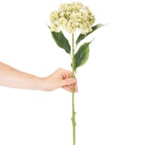Artikel Kunstmatige hortensiabloem met lange steel en bladeren, 60 cm