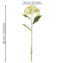 Artikel Kunstmatige hortensiabloem met lange steel en bladeren, 60 cm