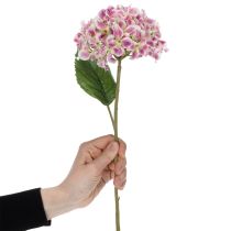 Artikel Stijlvolle kunstmatige hortensiabloem als blijvende blikvanger, 80 cm, 2 stuks