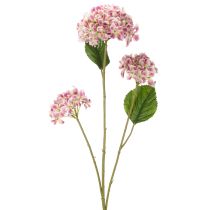 Artikel Stijlvolle kunstmatige hortensiabloem als blijvende blikvanger, 80 cm, 2 stuks