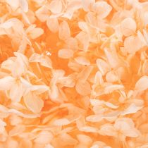 Artikel Boeket gedroogde hortensia's voor elegante bloemversiering in huis, 65 cm