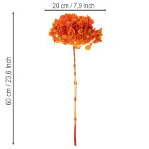 Artikel Hortensia, geconserveerd en geverfd, grote bloem met lange steel, 60 cm.