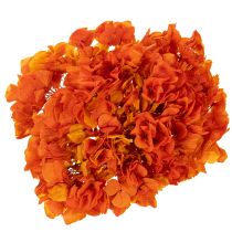 Artikel Hortensia, geconserveerd en geverfd, grote bloem met lange steel, 60 cm.