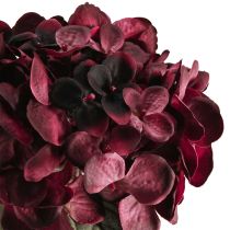 Artikel Hortensia kunstbloemen Bordeaux 52cm