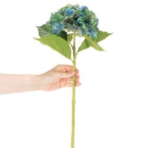 Artikel Kunstmatige hortensiabloem, blauwgroen, decoratieve enkele steel, 53 cm
