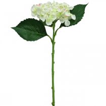 Hortensia, zijden bloem, kunstbloem voor tafeldecoratie wit, groen L44cm