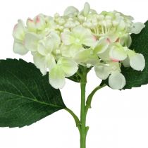 Hortensia, zijden bloem, kunstbloem voor tafeldecoratie wit, groen L44cm