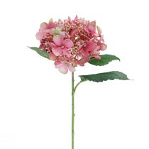 Artikel Hortensia kunstmatige roze en groene tuinbloem met knoppen 52cm