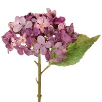 Artikel Kunsthortensia&#39;s Paars Kunstbloemen Hortensia 34cm 2 stuks