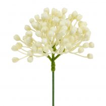 Artikel Hortensia knoppluk 22cm creme 12st