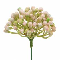 Artikel Hortensia knop steker 21cm roze 12 st.