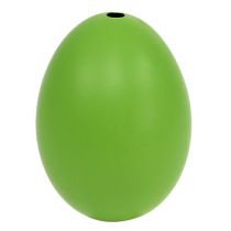 Artikel Kippeneieren 5,5cm - 7cm groen 10 st