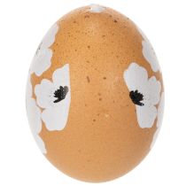 Artikel Hangende paasei-decoratie, lente, Pasen, echte kippeneieren, natuurlijk, 6 cm, 6 stuks