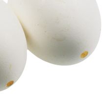 Artikel Witte kippeneieren, 10 stuks