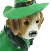 Beagle in Hat St. Patrick&#39;s Day Hond in pak Tuindecoratie Hound H24.5cm
