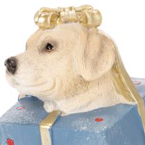 Artikel Decoratief beeldje van een zittende puppy in een geschenkdoos, 20 cm