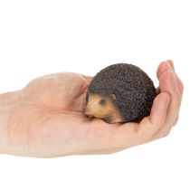 Artikel Decoratief egelbeeldje, kleine tafeldecoratie voor de herfst, 8 cm