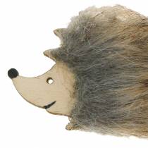 Herfstdecoratie egel met bont 7cm 24st