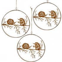 Metalen hanger, egel aan tak, herfstdecoratie, decoratieve ring, roestvrijstalen frame Ø15.5cm 3st