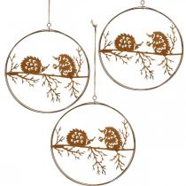 Artikel Metalen hanger, egel op tak, herfstdecoratie, decoratieve ring patina Ø15,5cm 3 stuks