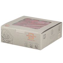 Artikel Infinity Roses Echte Bloemen Mini Rozenkoppen Rood Ø3cm 16 stuks