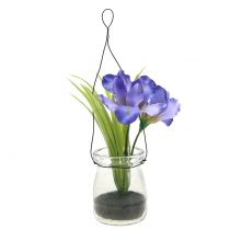 Artikel Iris sering in een glas om op te hangen H21.5cm