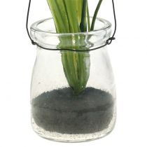 Artikel Iris sering in een glas om op te hangen H21.5cm