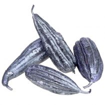 Loofah fruit paars 14cm - 20cm 10st