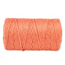 Artikel Jutelint jutekoord sierlint jute oranje Ø4mm 100m