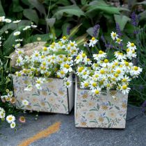 Artikel Dozen voor opplant, houten decoratie, decoratieve doos met bijen, lentedecoratie, shabby chic L15/12cm H10cm set van 2