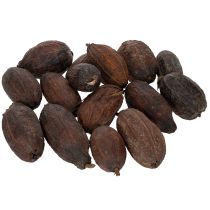 Artikel Cacaofruit, naturel, 10-18 cm, 15 stuks