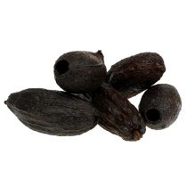 Artikel Cacaofruit naturel 10-18cm 15 st