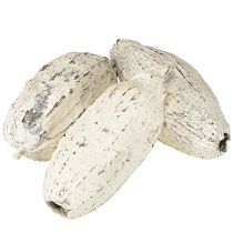 Artikel Cacaobonen witgekalkt 15 stuks