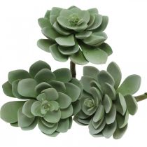 Kunst succulent deco kunstplanten groen 11×8.5cm 3st