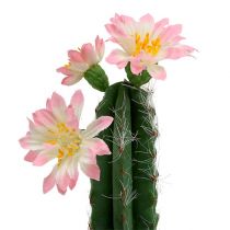 Cactus in een pot met bloem roze H 21cm