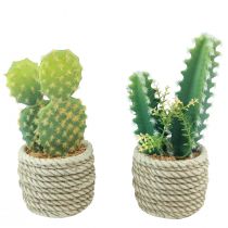Artikel Cactus in pot kunstcactus assorti 28cm 2st