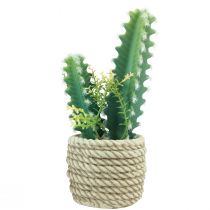 Artikel Cactus in pot kunstcactus assorti 28cm 2st