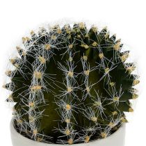Cactus in een pot groen 14cm