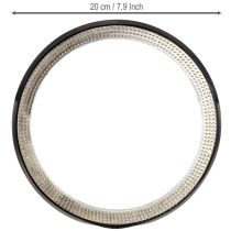 Artikel Kenzan ring met messing pinnen, rond, Ø200mm