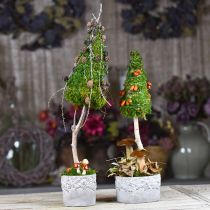 Plantenbakken met eikels en bladeren, plantenbak keramiek groen, wit, grijs Ø17cm H9.5cm set van 3