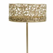Artikel Bloemenkandelaars om in te pluggen goud Ø8,8cm H13,7cm 4 stuks antieke look