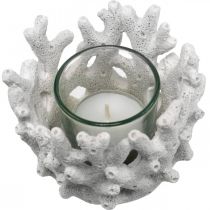 Lantaarn met glas in koraal design maritieme decoratie wit kunstmatig Ø9.5cm 2st