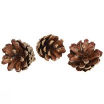 Dennenappels decoratief Grove dennenappels naturel 4-5cm 250g