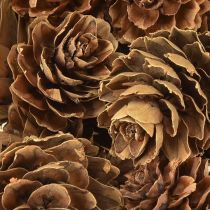 Artikel Dennenappels natuurlijke kleine dennenappels decoratie in net 2,5-3,5cm 300g
